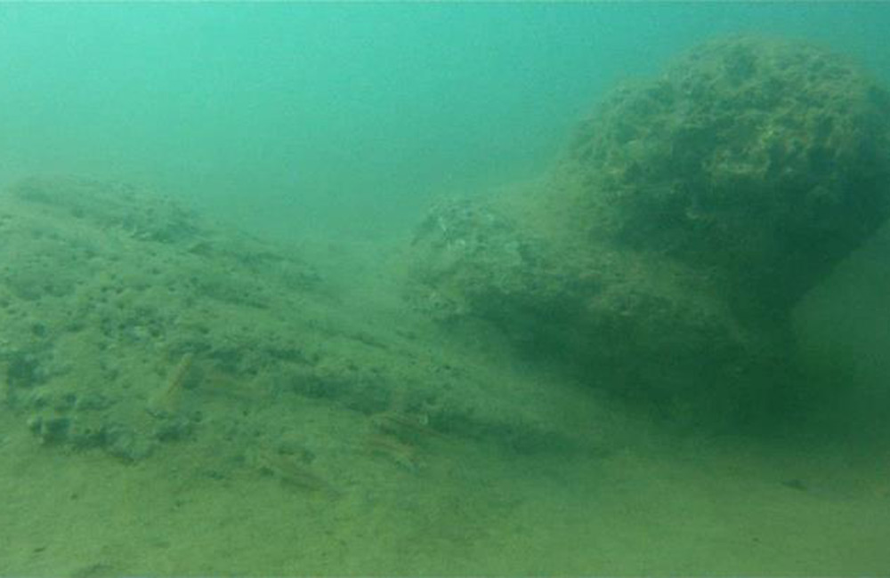 vacanze silvi marina